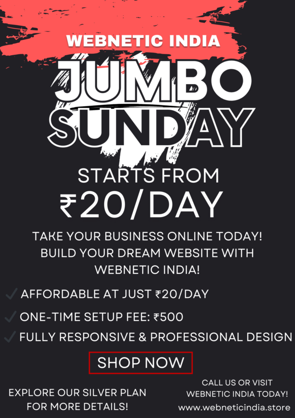 Affordable Website Silver Plan – Unlimited Features at Just ₹20/Day | Webnetic India - Image 2